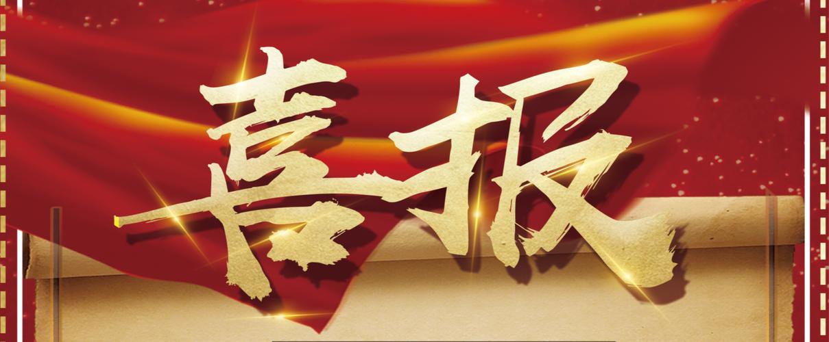 外推蜘蛛池SEO